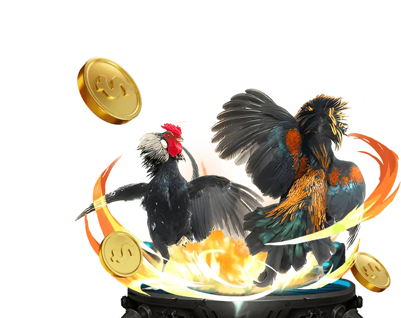 Hướng dẫn tham gia đấu gà trên Gowin APK